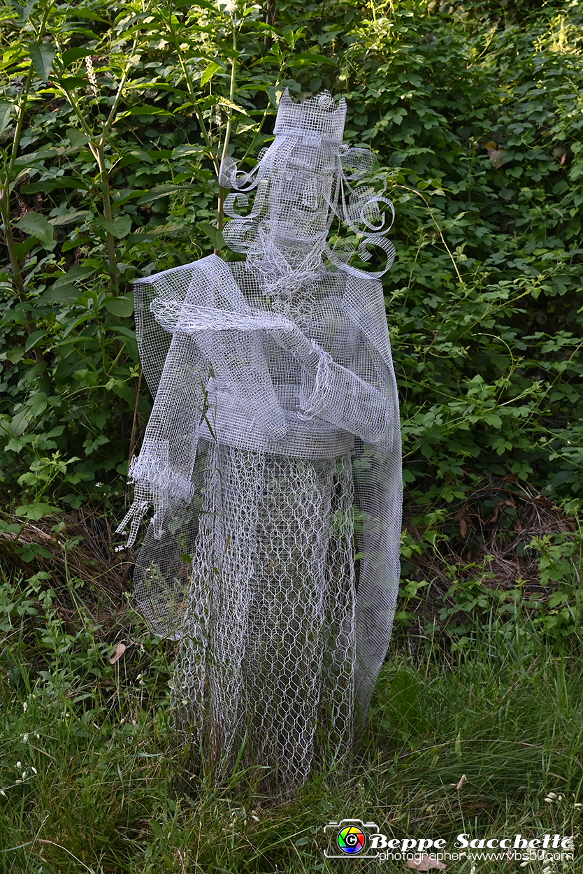 VBS_4884 - Il bosco fatato - Montaldo Roero.jpg